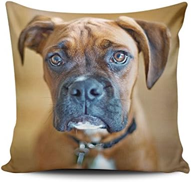 ZeDae Decorative Sad Boxer Dog Square Pillowcases Zippered Personalized Throw Pillow Covers Cases 18x18 Inches One Sided