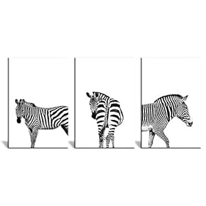 3 Panel Canvas Wall Art - Close Up of Zebras in Black and White - Giclee Print Gallery Wrap Modern Home Art Ready to Hang - 16"x24" x 3 Panels