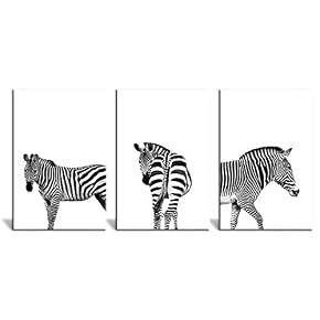 3 Panel Close Up of Zebras in Black...