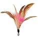 Wisspet Teaser Cat Toys Bird Catcher Interactive Wand Fishing Pole with 3 Feather Refill Replacement Pack