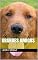 Livro Grandes amigos