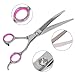 Petroad Pet Grooming Scissors Set for Dogs and Cats, Stainless Steel Dog Scissors Grooming Shears Set with a Comb and a Black Pouch