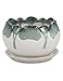 Dahlia 5.5'' Inch Rustic Drip Glazed Ceramic Planter/Succulent Pot/Plant Pot w. Saucer/Tray