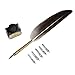 Calligraphy Feather Pen Set- Vintage Writing Feather Quill Pen Ink Set- 5pcs Metal Pen Nib Wedding Gift Set (Map Box Feather Pen)