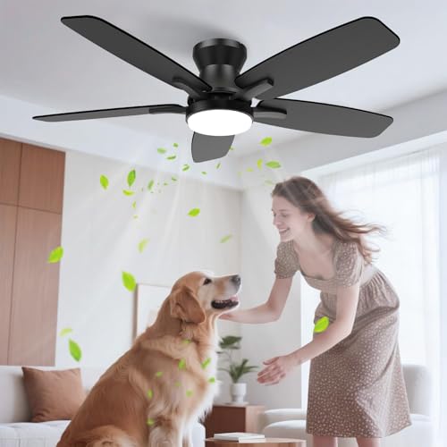 Airwit Ventilador de Techo con Luz de 106cm, 42 Inch Ceiling Fan, Abanicos de Techo Montaje Empotrado con Control Remoto, 6 Velocidades, Luz LED de 3 Colores, 5 Cuchillas, Motor CC Reversible, Negro