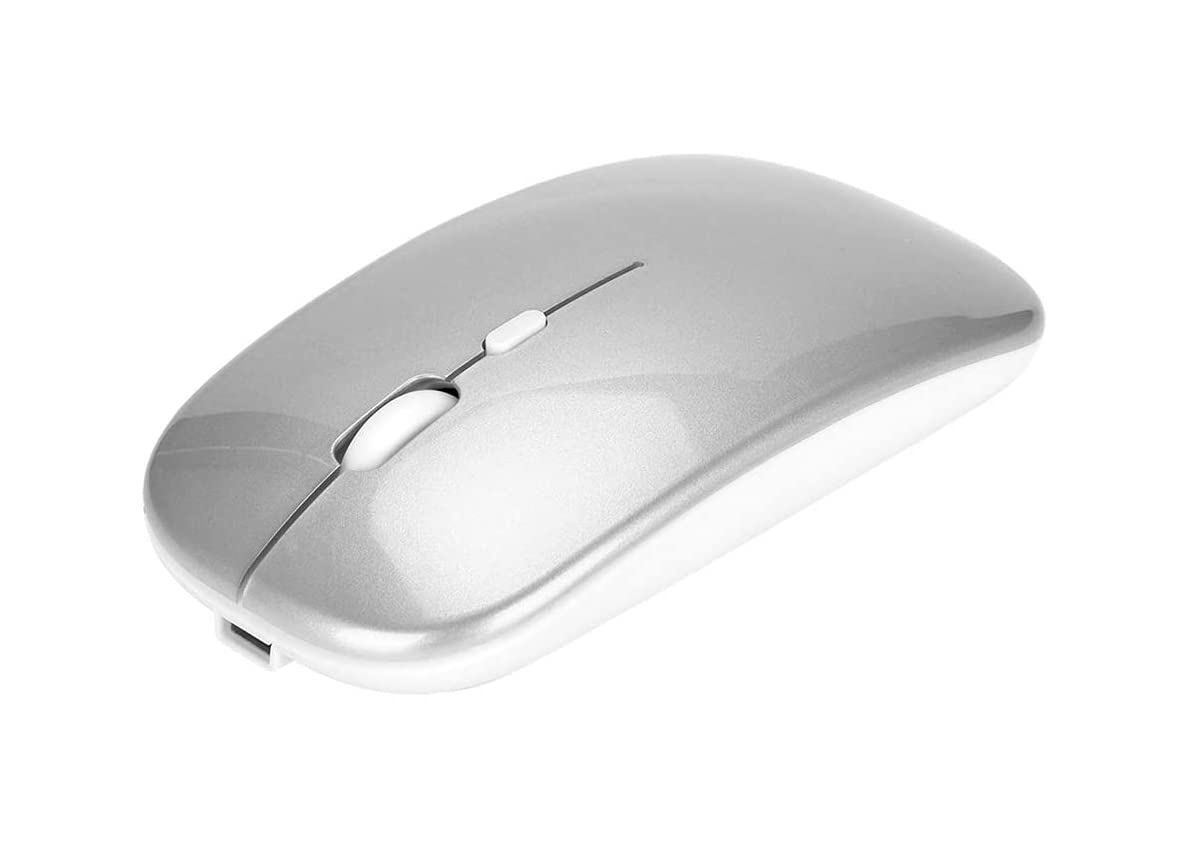 Bewinner 2.4G Wireless Mouse With USB Receiver, Portable Ergonomic Wireless Rechargeable Silent Mouse for PC/Tablet/Laptop 800, 1200, 1600 DPI Adjustable(Silver)