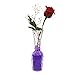 Magic Beadz - Purple Gel Water Beads - Transparent Jelly Pearls - Vase Filler - Wedding Centerpiece - Candles - Flower Arrangements - Over 20,000 Beads