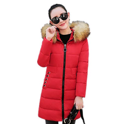 a long thick warm coat