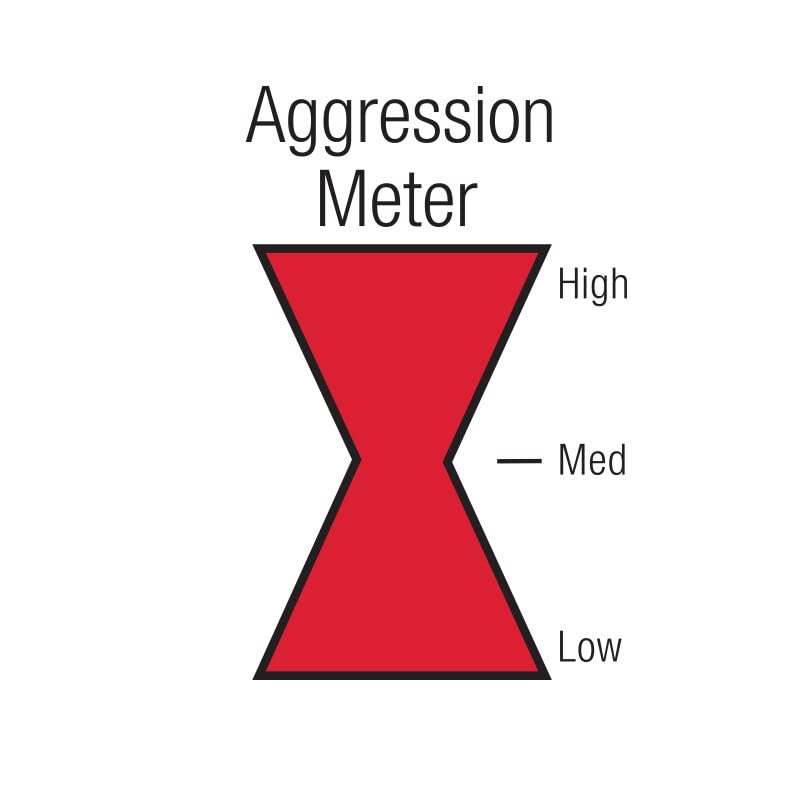 Black Widow Neighborhater Muffler BW0012-30: 3" 409 Stainless Steel Widowmaker - Aggressive Sound, Anti-Drone, Lifetime Warranty