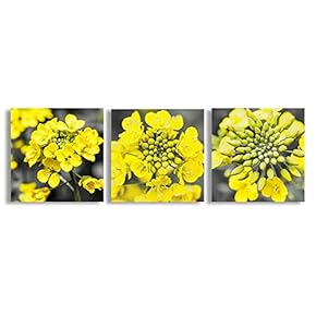 Canvas Wall Art Beautiful Flowers Collage...