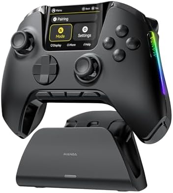 Amazon.com: BIGBIG WON Storm(Gale2) Wireless PC Controller