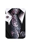 Hi-Tie Silk Black and Pink Paisley Necktie and