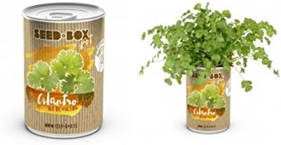 Huerto urbano pequeño – LATA de Cultivo casero de CILANTRO – Bote ...