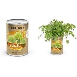 Huerto urbano pequeño – LATA de Cultivo casero de PEREJIL – Bote ...