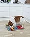 Kruuse Buster Activity Mat Starter Set with 3 Activities - Snuffle Mat for Dogs - Dog Activity Mat