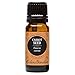 Edens Garden 100% Pure Therapeutic Grade Essential Oil, 10 mL, Carrot (Seed)thumb 1