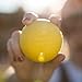Champion Sports Colored Lacrosse Balls: Yellow Official Size Sporting Goods Equipment for Professional, College & Grade School Games, Practices & Recreation - NCAA, NFHS and SEI Certified - 12 Pack