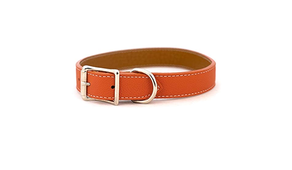 orange leather collar
