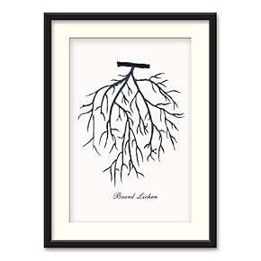 Black Paper Framed Canvas Wall Art for Living Room, Bedroom Simple Beautiful Leaves Canvas Prints for Home Decoration Ready to Hanging - 23x31 inches