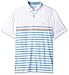 IZOD Men's Performance Golf Polo