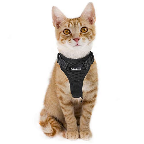 Top 6 rabbitgoo harness for dogs xs for 2019 Sideror Reviews