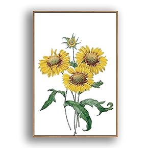 Framed Canvas Wall Art Beautiful Flowers in Grid Giclee Print Gallery Wrap Modern Home Prints Ready to Hang - 16x24 inches
