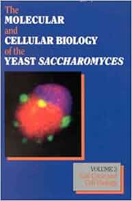 The Molecular And Cellular Biology Of The Yeast