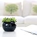MyGift® Decorative Modern Glazed Black Ceramic Potted Green Artificial Succulent Planter Pot