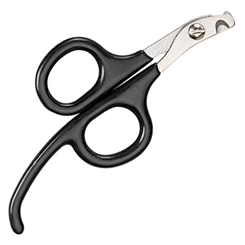 Master Grooming Tools Pet Nail Scissors with Finger Rests-Stainless Steel Scissors for Trimming Nails on Cats and Birds - Small, 3½" - Thumbnail 2