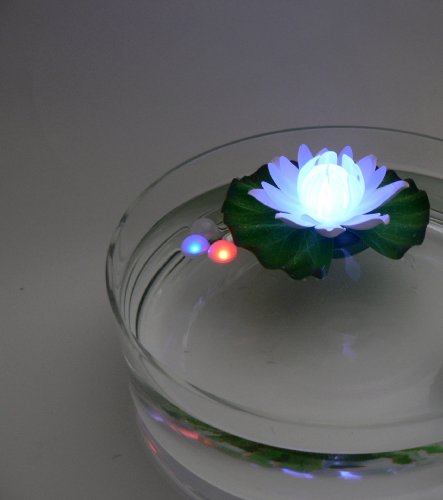 Fortune Products GL-301-ABW Glow Lily Light, 5-1/2" Width x 1-3/4" Height
