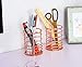 PAG Pencil Holder for Desk, 2 Pack Desktop Pen Cup, Office Supplies Rose Gold Desk Organizers and Accessories Organization, Makeup Brush Holder, Copper