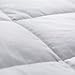 puredown® Blankets Queen Size - Soft Lightweight Down Blanket for All Seasons, Cozy Warm Luxury Bed Blanket with Satin Trim, Cotton Cover, Light Grey (90