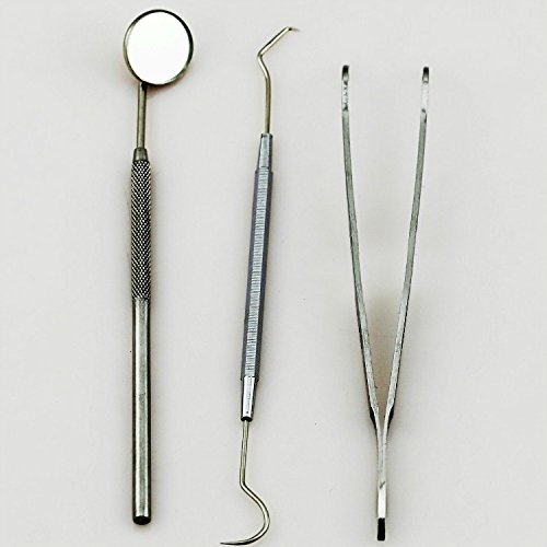 Aphrodite 4pc Tray Stainless Dental Tool Set Kit Dentist Teeth Clean Hygiene Pick Mirror