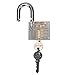 Ridgeyard Lovely Clear Padlock Professional Lock Cutaway Padlock with 2 Keys Crystal Gate Locks Practice Training Lock for Beginners Locksmith Christmas Gift
