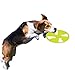 Nerf Dog Rubber Flyer Dog Toy, Flying Disc, Lightweight, Durable and Water Resistant, Great for Beach and Pool, 10 inch diameter, for Medium/Large Breeds, Single Unit, Green