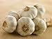Joy Natural Fermented Black Garlic Whole Bulbs, Packed in air tight resealable zip bag, Fermented and Packed in Korea, 250 g