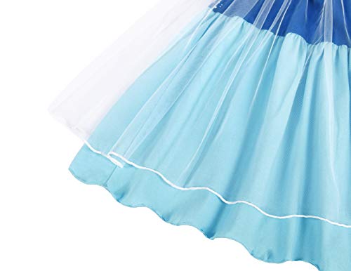 Cotrio Elsa Dress Baby Girls Princess Dresses Toddler Kids Halloween Costumes Outfits Child Themed Birthday Party Fancy Clothes with Cape Size 3T (2-3 Years, Blue, 100)