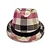 Premium Multi Color Plaid Stitch Black Band Fedora Hat, Camel