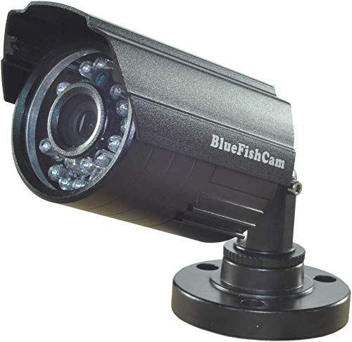 BlueFishCam Home Surveillance Systems Outdoor CCTV Camera 1/4 CMOS with 3.6mm Lens Analog 1000TVL with IR-Cut(Double Filter) 24 LED Infrared Motion Detection warterproof IP66 - Thumbnail 4