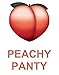 Peachy Panty Women's Pack of 6 Girdle Panties High Rise Tummy Control Girdle Panties