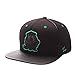 NCAA Zephyr Men's Ion Snapback Hat