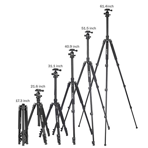 ZOMEI F647 64.5-Inch Camera Tripod Lightweight Aluminum Alloy Travel and Compact with 360 Degree Ball Head and Carrying Bag for Canon, Nikon, Sony, Samsung, Fuji Camera and DSLR