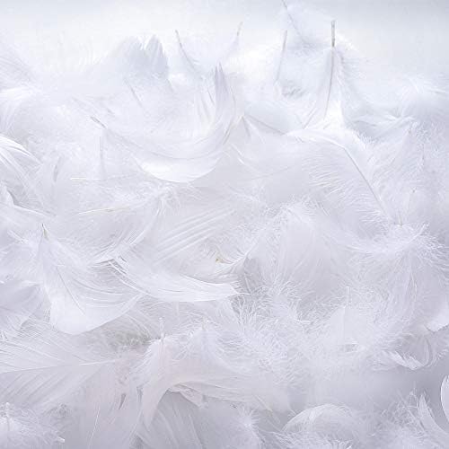 BTNOW 800 Pieces White Feather Fantasy Ornament Create White Decoration (White)
