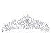 CJESLNA Wedding Prom Engagement Party Bridal Bridesmaid Flower Rhinestone Crown Tiara 11.42