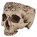 ChezMax Realistic Human Skull Resin Halloween Candy Bowl Flowerpot Dish Statue Sculpture Skeleton, 7.68 Inch, Floral Carved