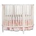 Dream On Me Sophia Posh Circular Crib White