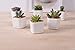 WISH HALLY WOOD Mini 6 Set of 2x2x1.65inch Square Modern Minimalist White Ceramic Succulent Mini Planter Pot/Window Box with Saucer (6, 2inch)