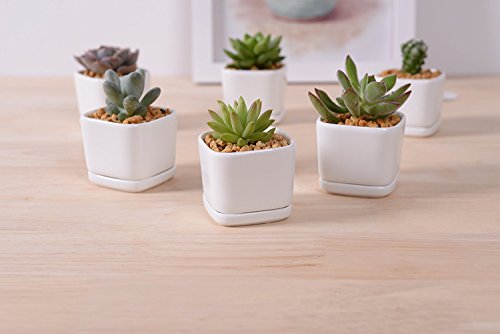 Wish you have a nice day 6 set 2 inch square Modern Minimalist White Ceramic Succulent mini Planter Pot / Window Box with Saucer (6, 2inch)