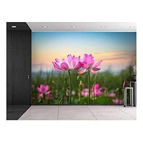 Pink Lotus Flowers Looking Over The Sunset - Wall Mural, Removable Sticker, Home Decor - 66x96 inches
