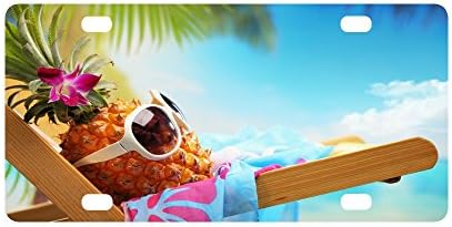 Durable Metal License Plate Frame for Women/Men Novelty Hipster Pineapple Art with Sunglasses Four Holes Car Tag (New) 12 X 6 inches